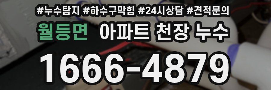 월등면 아파트 천장 누수