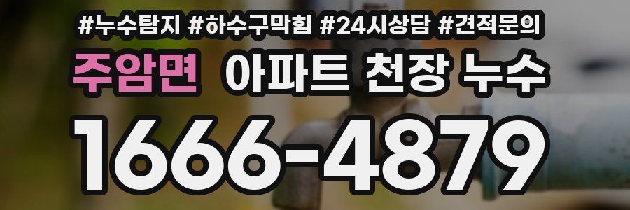 주암면 아파트 천장 누수