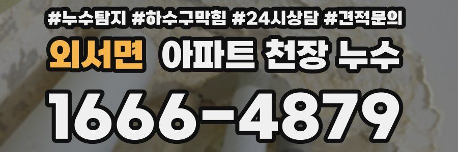 외서면 아파트 천장 누수