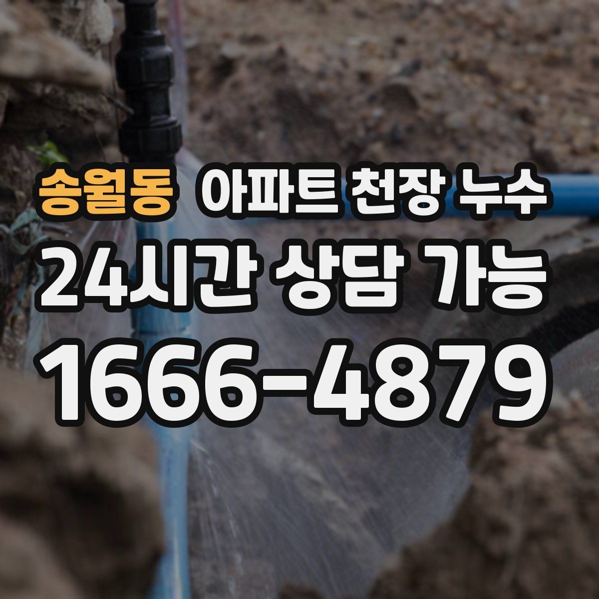 송월동 아파트 천장 누수