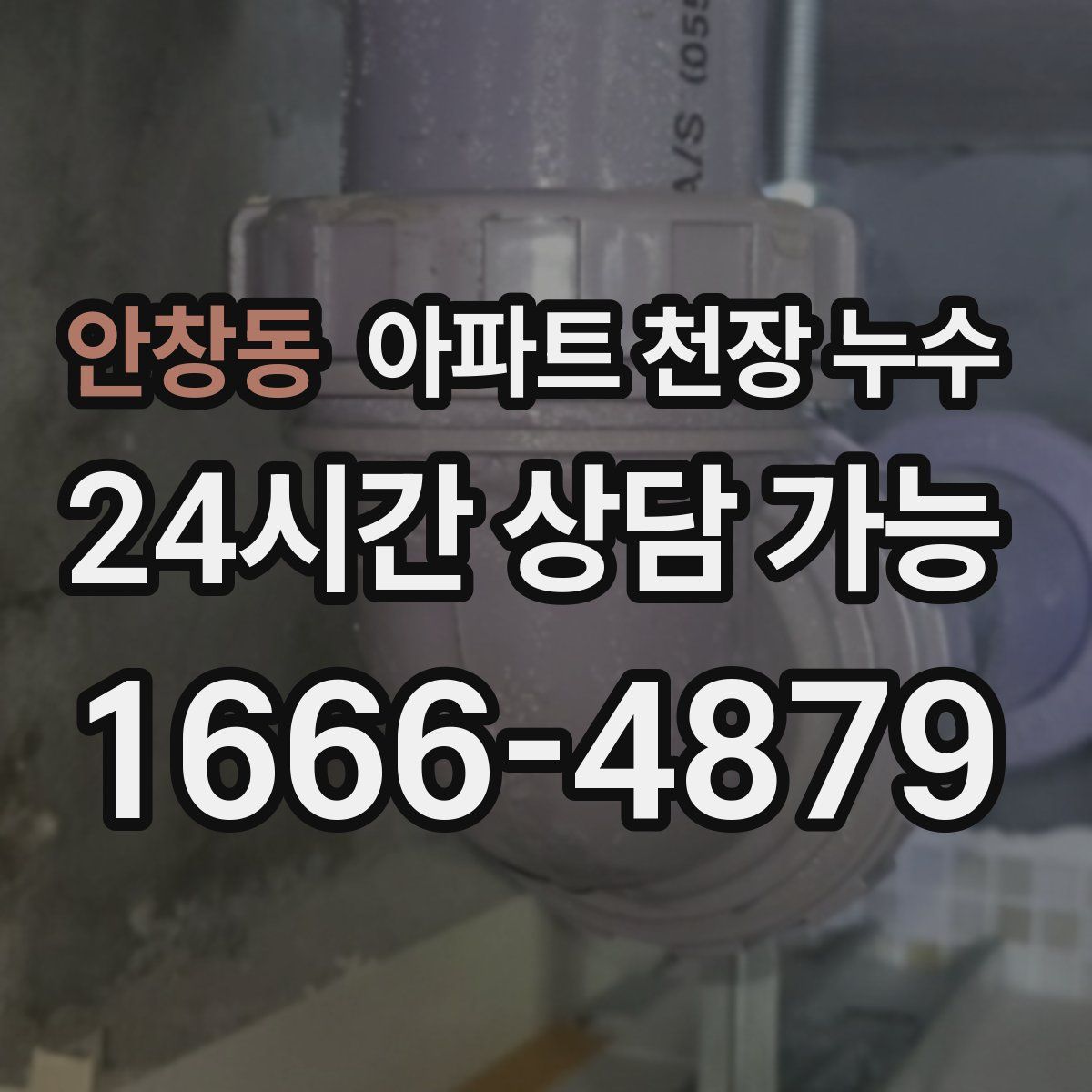 안창동 아파트 천장 누수
