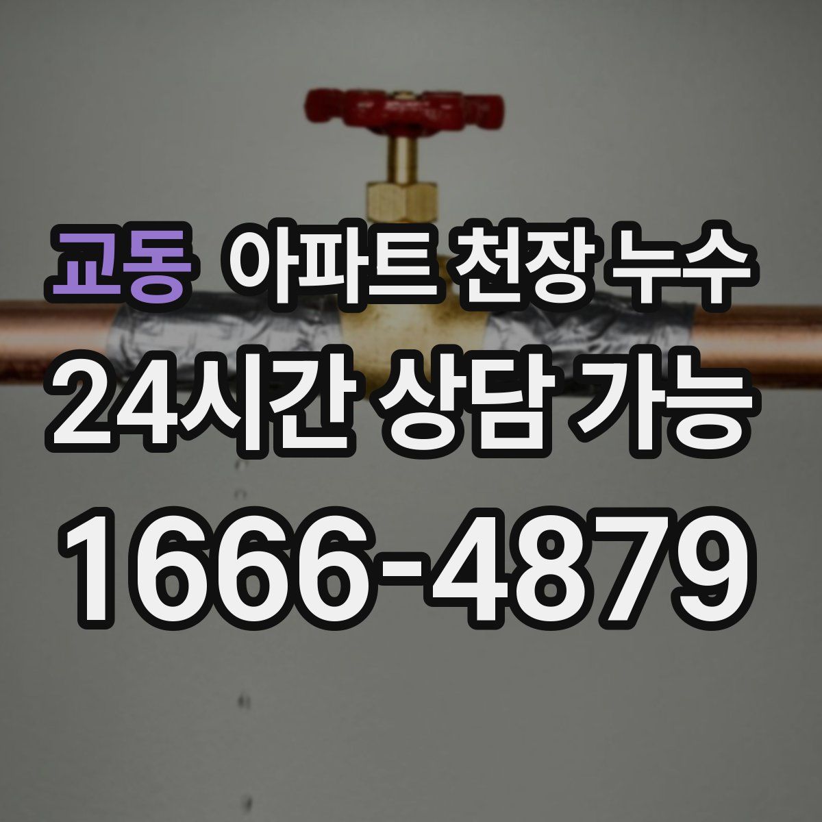 교동 아파트 천장 누수