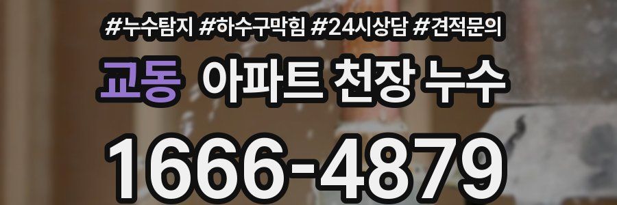 교동 아파트 천장 누수
