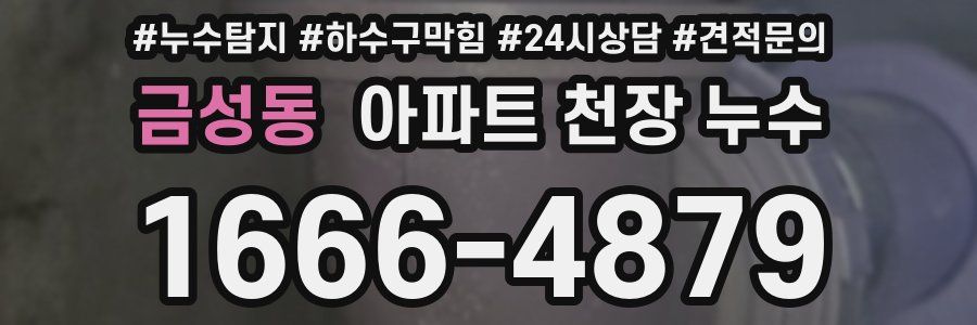 금성동 아파트 천장 누수