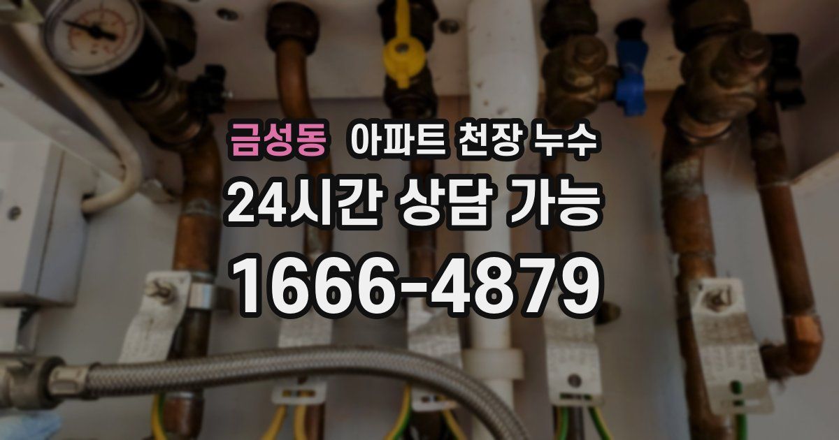 금성동 아파트 천장 누수