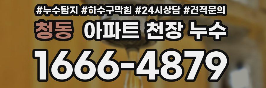 청동 아파트 천장 누수
