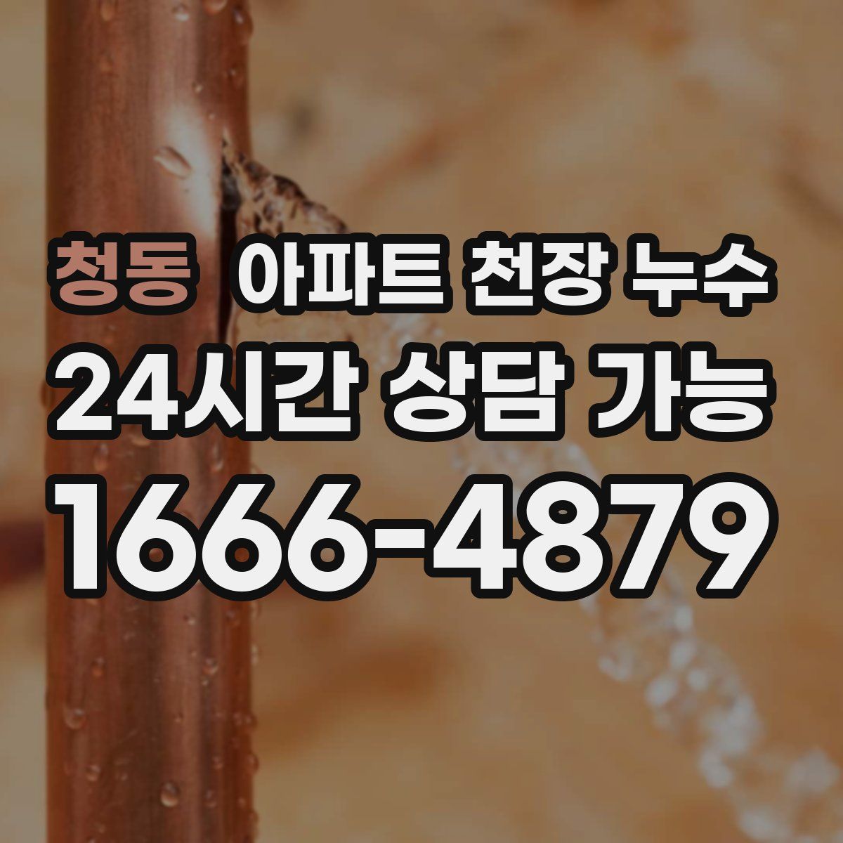 청동 아파트 천장 누수