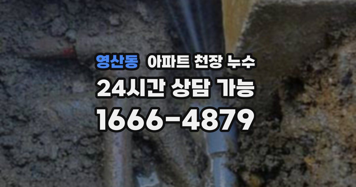 영산동 아파트 천장 누수