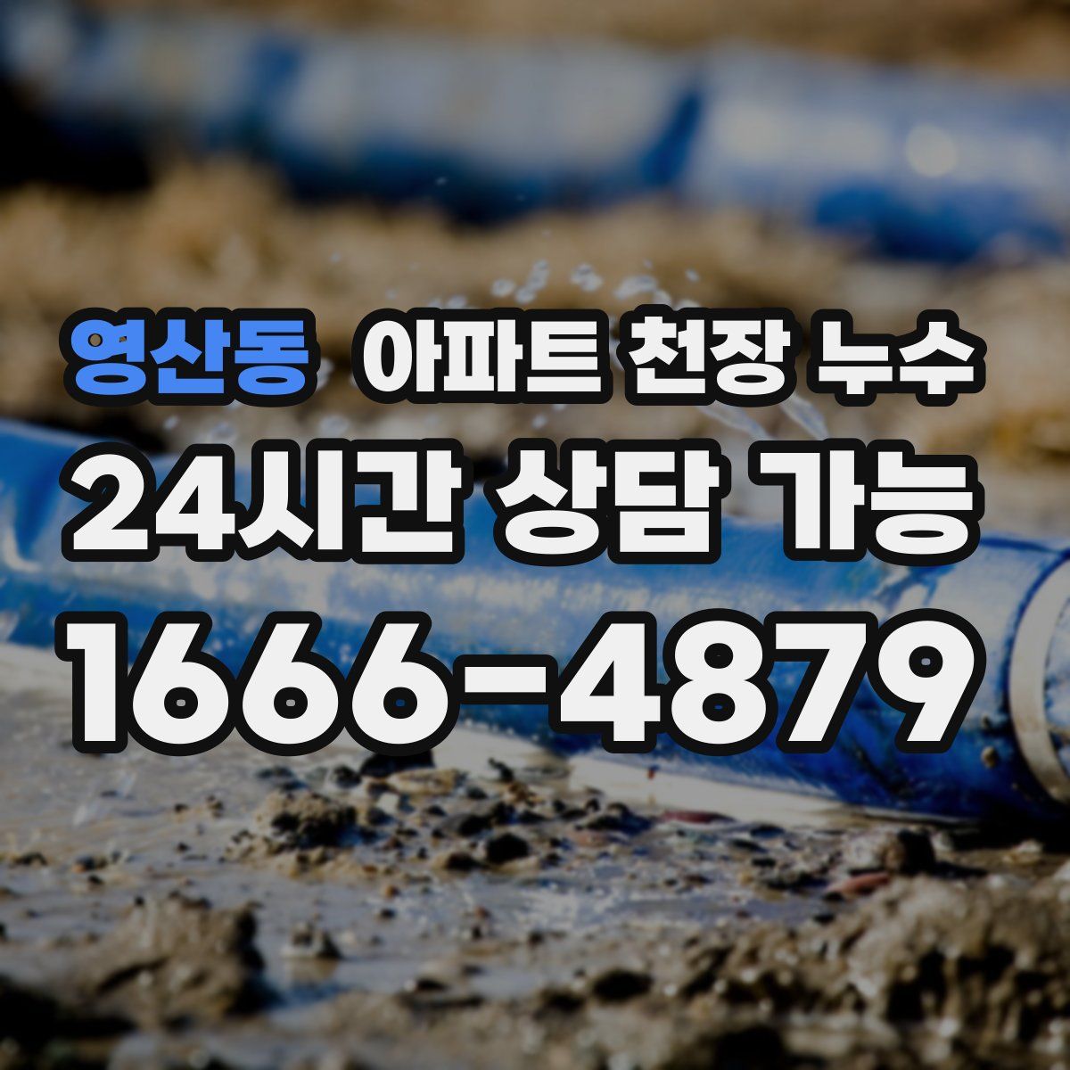 영산동 아파트 천장 누수