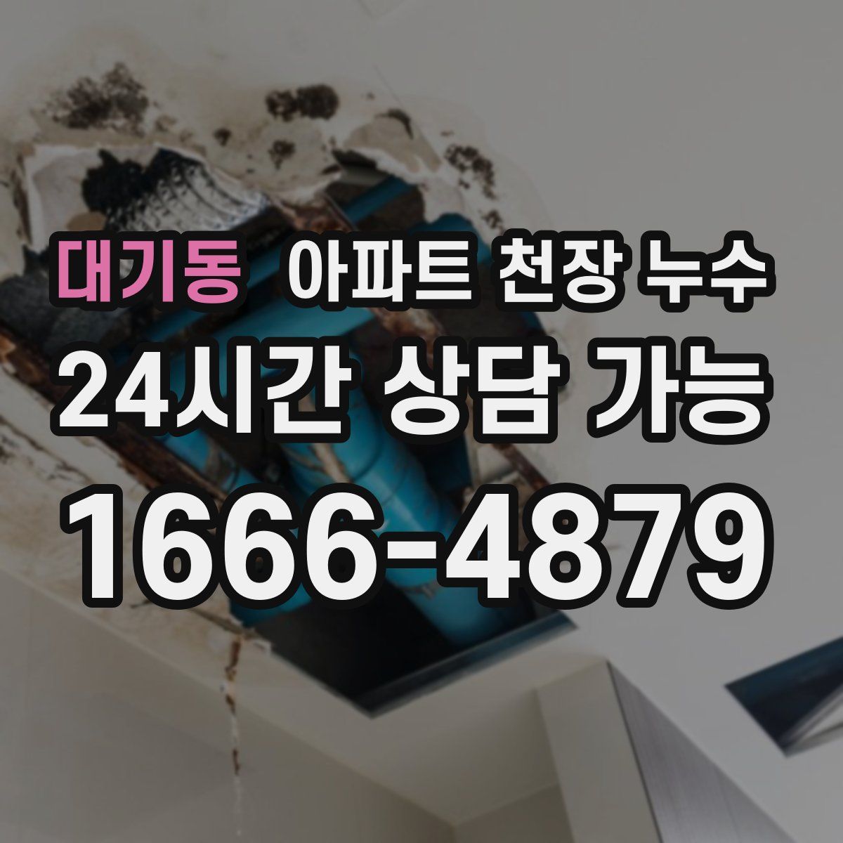 대기동 아파트 천장 누수
