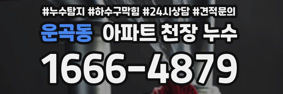 운곡동 아파트 천장 누수