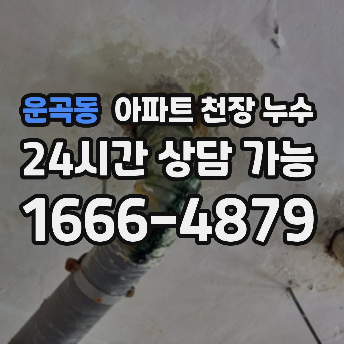 운곡동 아파트 천장 누수
