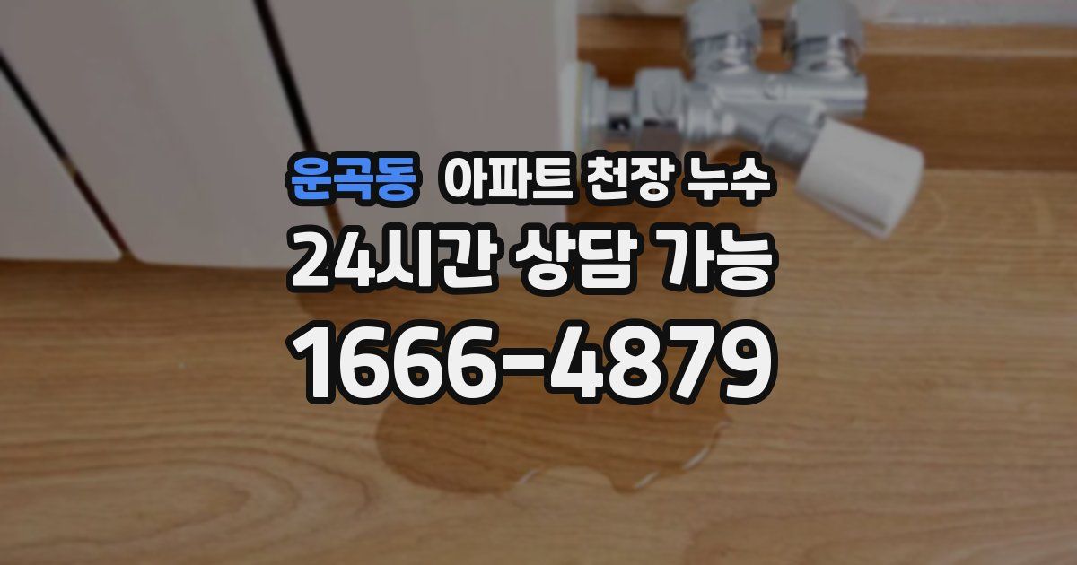 운곡동 아파트 천장 누수