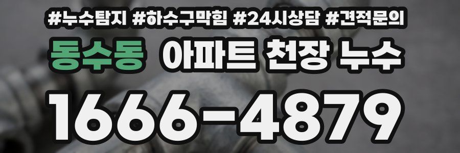동수동 아파트 천장 누수