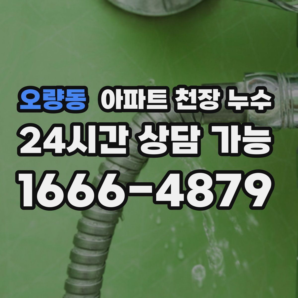 오량동 아파트 천장 누수