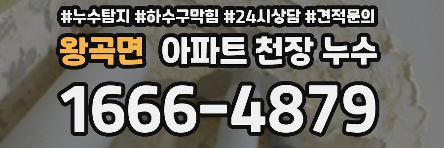 왕곡면 아파트 천장 누수