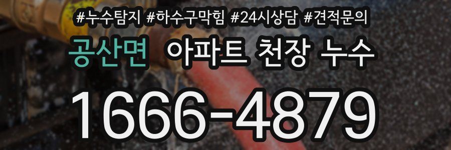 공산면 아파트 천장 누수