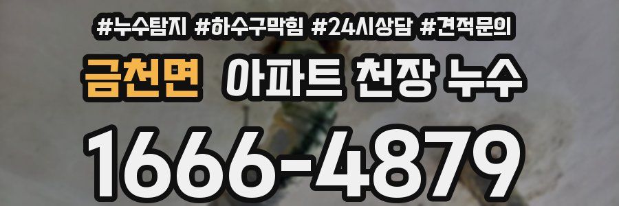 금천면 아파트 천장 누수