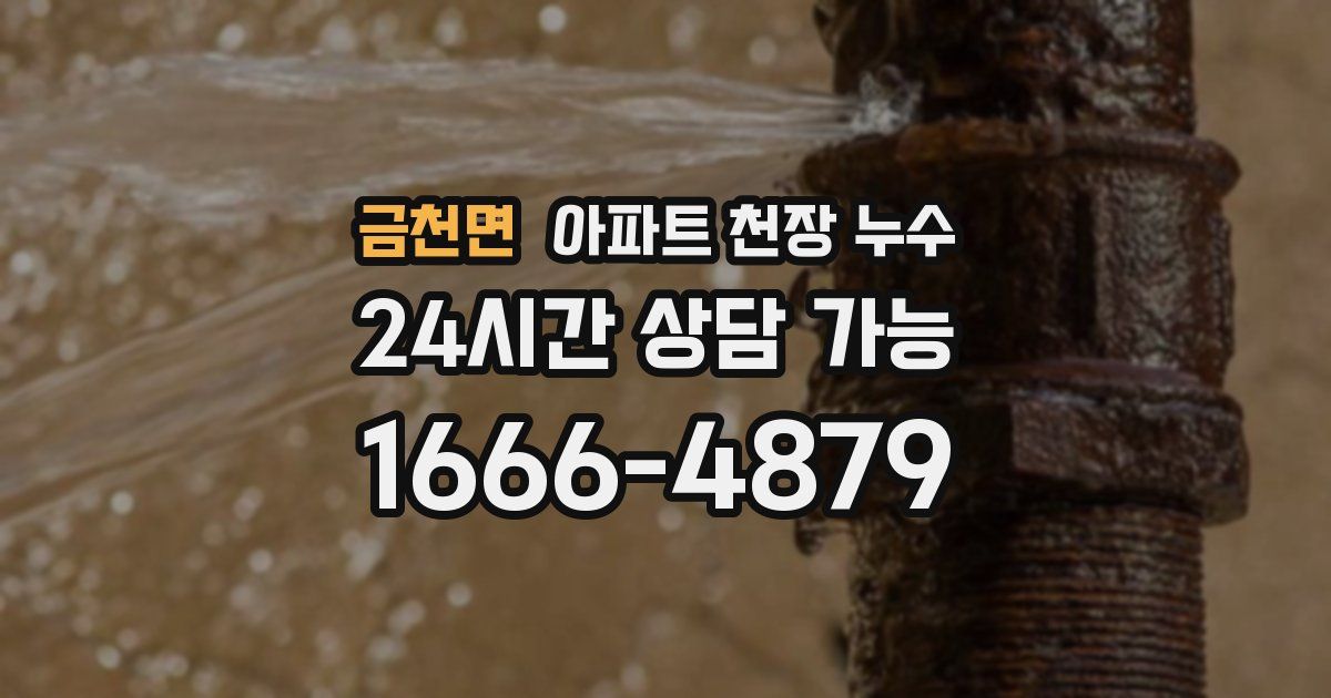 금천면 아파트 천장 누수
