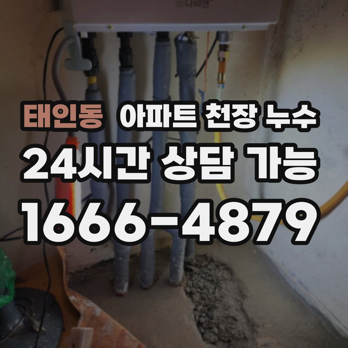 태인동 아파트 천장 누수