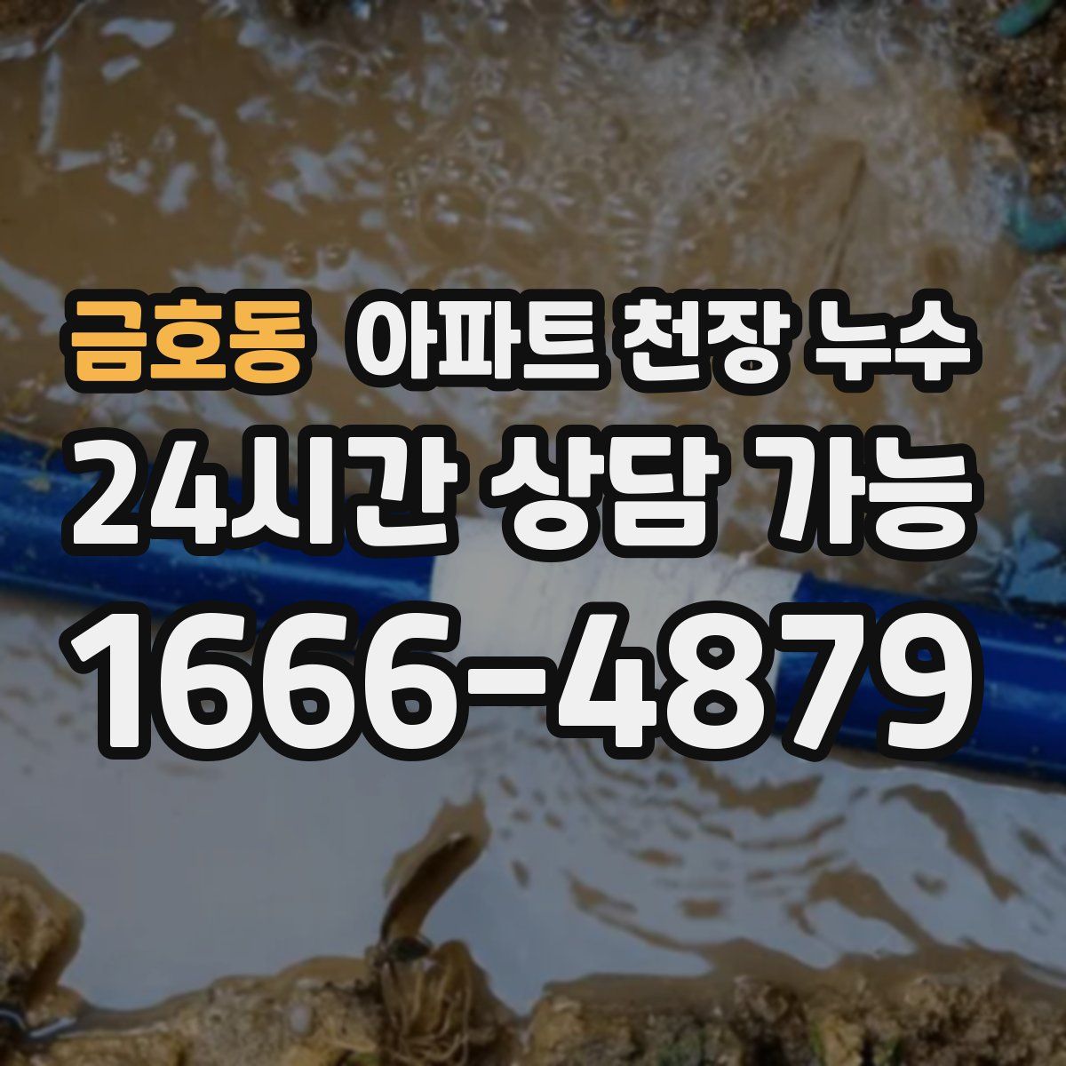 금호동 아파트 천장 누수