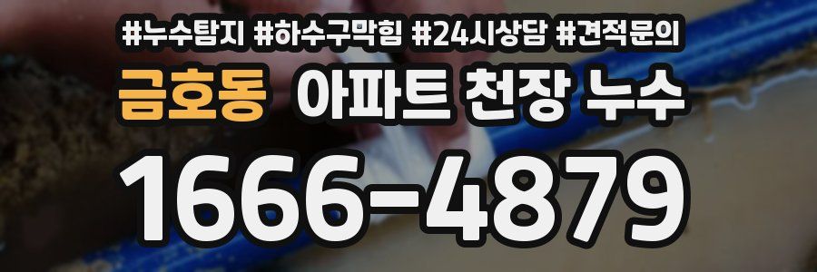 금호동 아파트 천장 누수