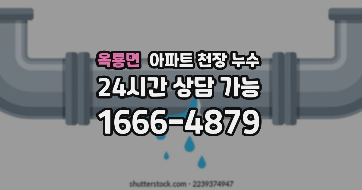 옥룡면 아파트 천장 누수