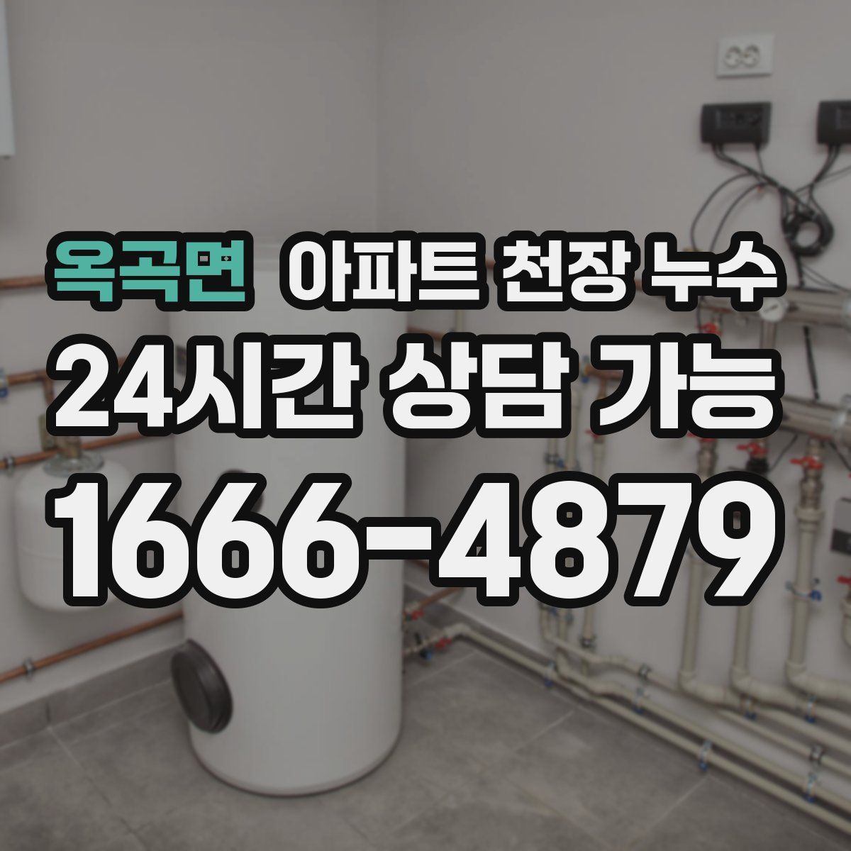 옥곡면 아파트 천장 누수
