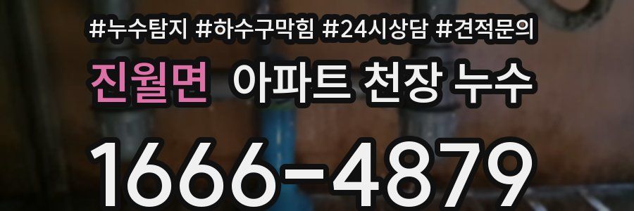 진월면 아파트 천장 누수