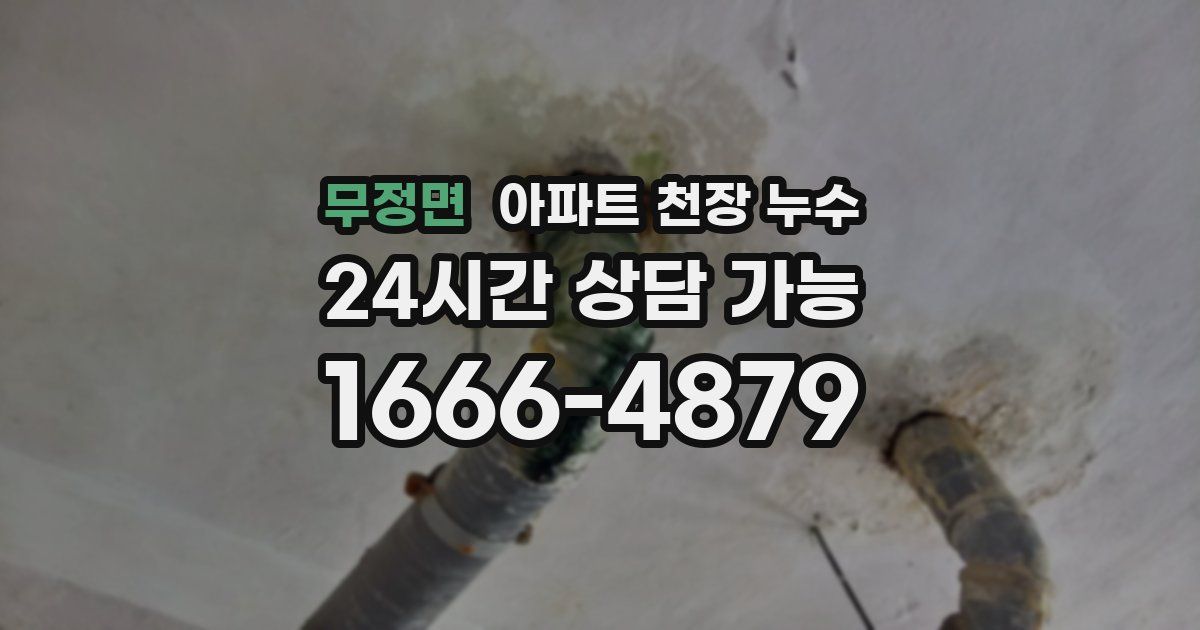 무정면 아파트 천장 누수