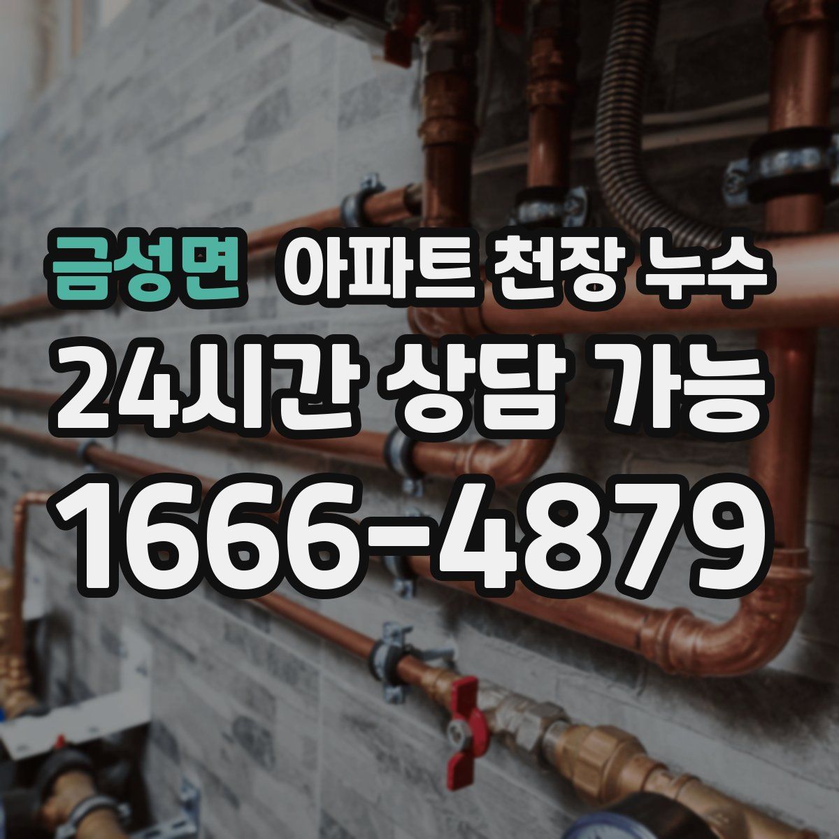 금성면 아파트 천장 누수