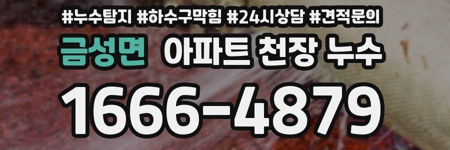 금성면 아파트 천장 누수