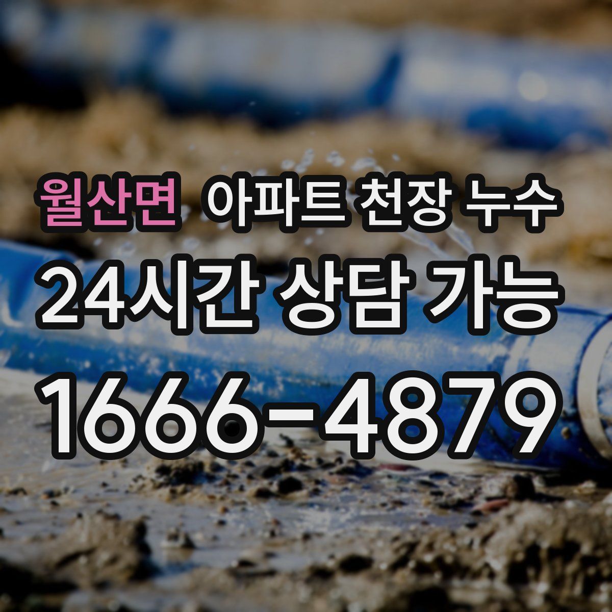 월산면 아파트 천장 누수