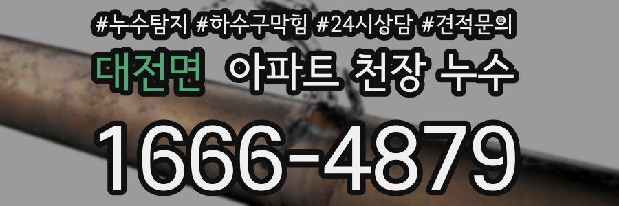 대전면 아파트 천장 누수