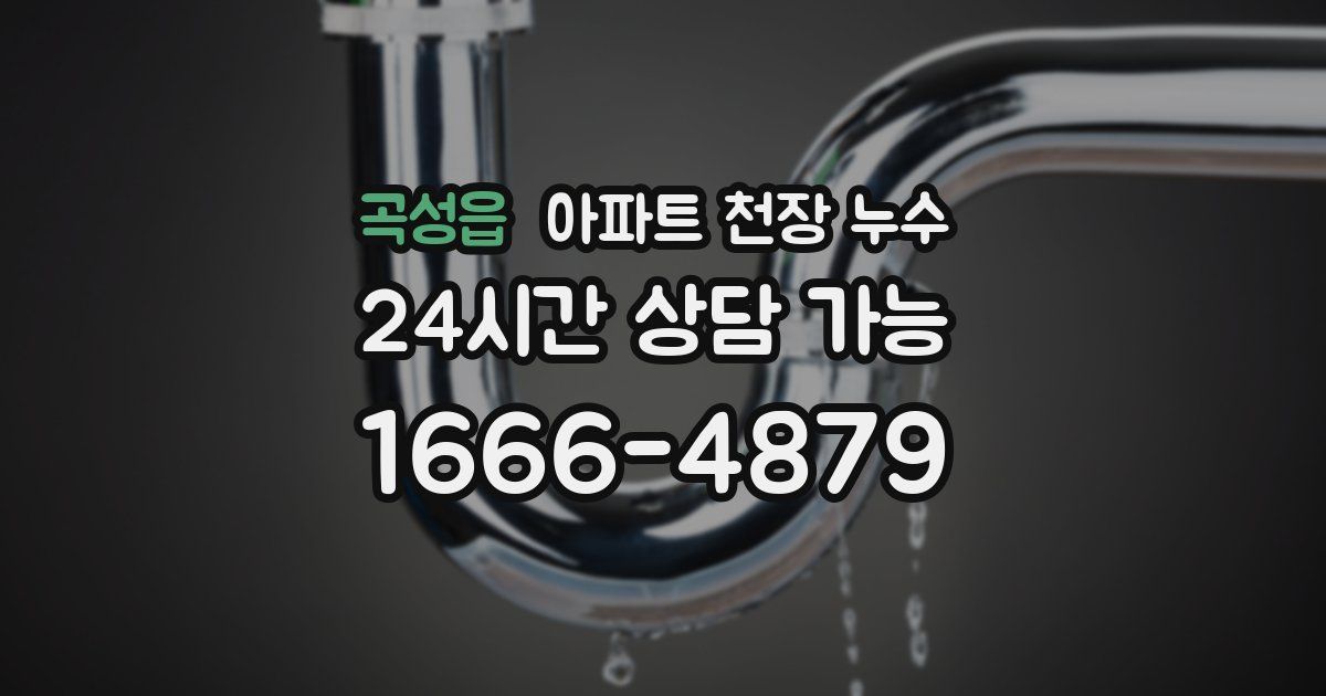 곡성읍 아파트 천장 누수