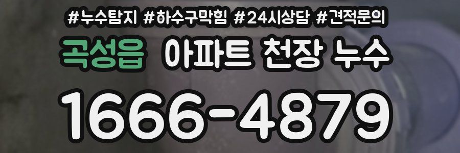 곡성읍 아파트 천장 누수
