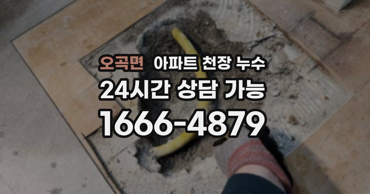 오곡면 아파트 천장 누수