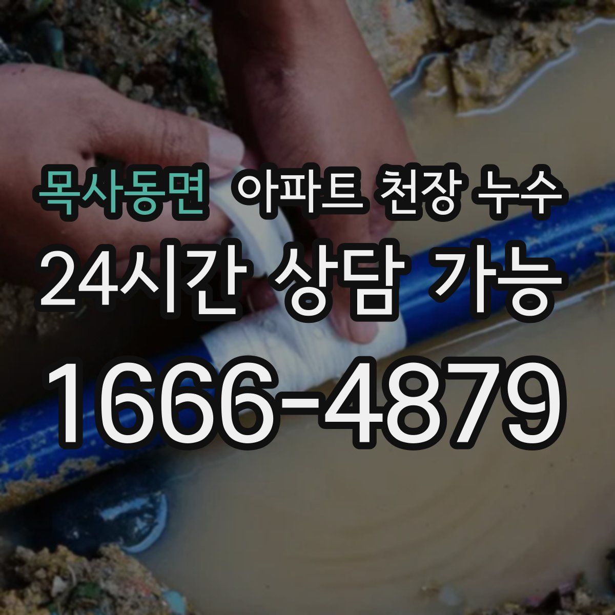 목사동면 아파트 천장 누수