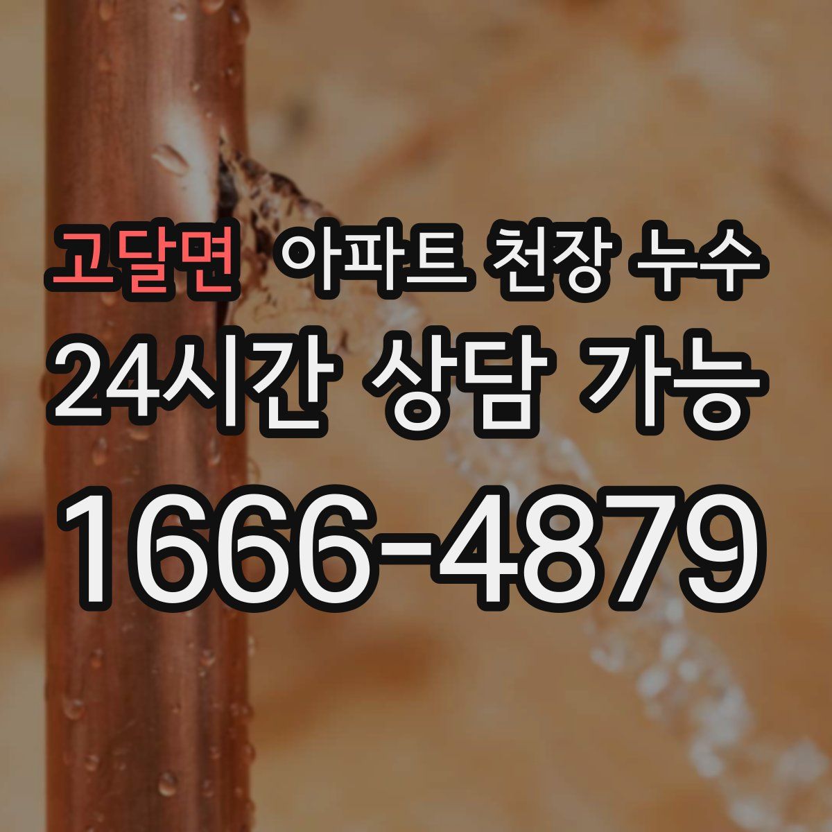 고달면 아파트 천장 누수