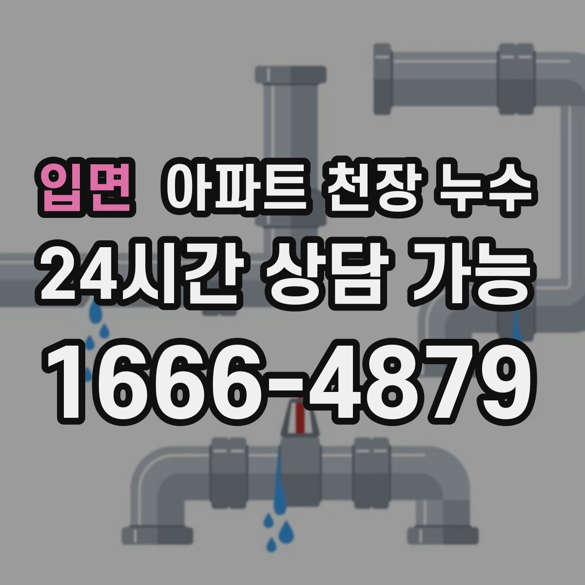 입면 아파트 천장 누수