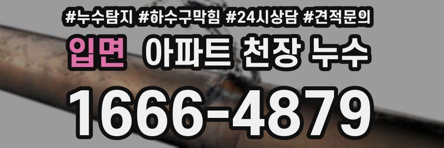 입면 아파트 천장 누수