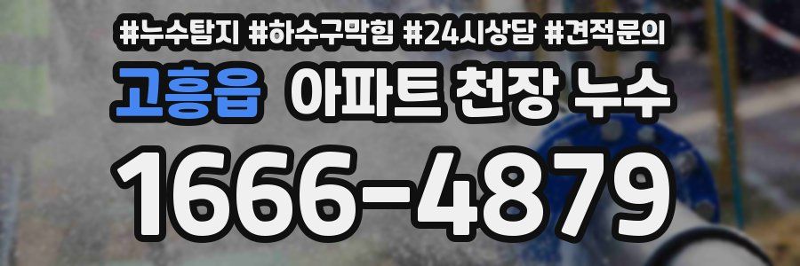 고흥읍 아파트 천장 누수