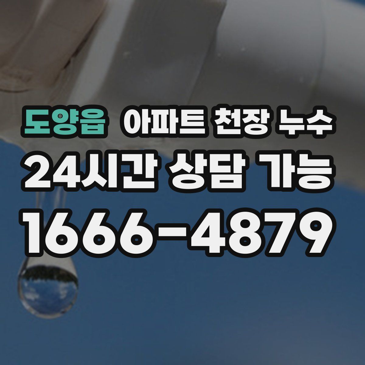 도양읍 아파트 천장 누수