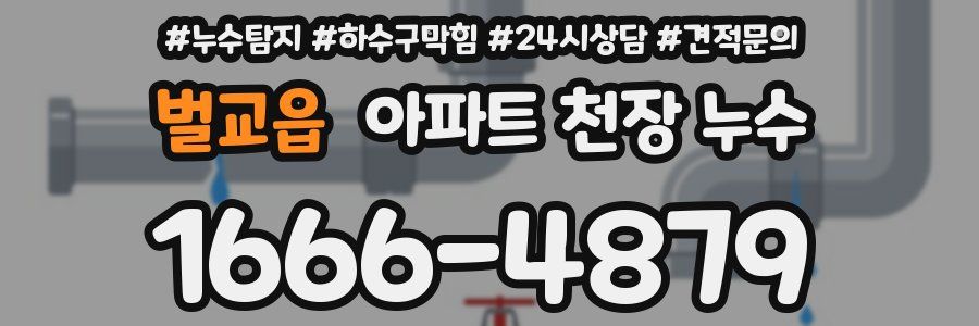벌교읍 아파트 천장 누수