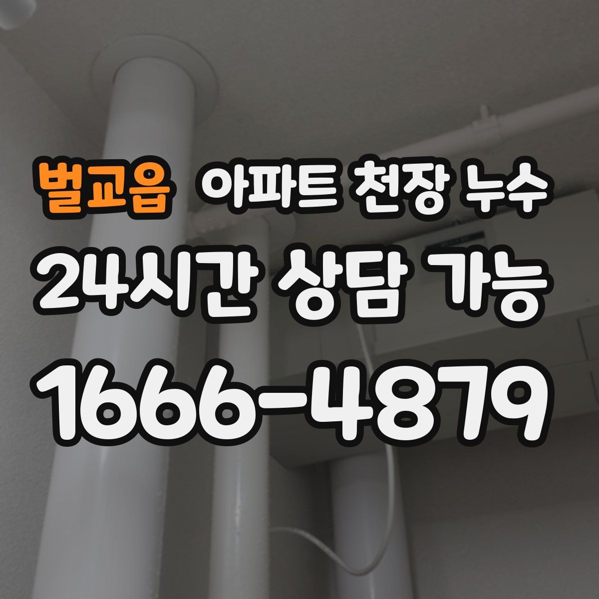 벌교읍 아파트 천장 누수
