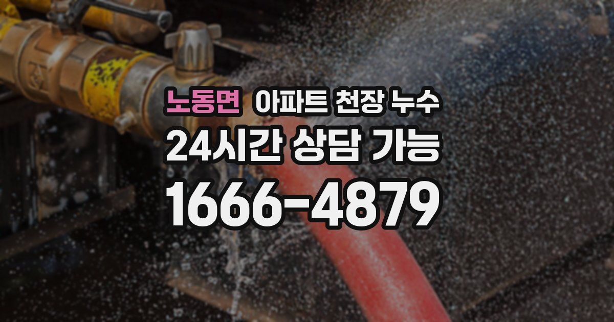 노동면 아파트 천장 누수