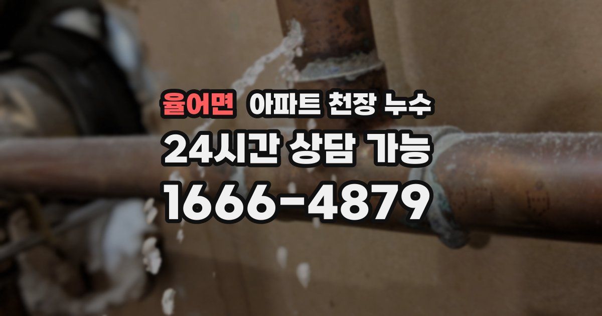 율어면 아파트 천장 누수