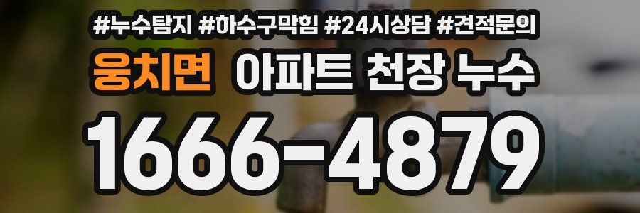 웅치면 아파트 천장 누수