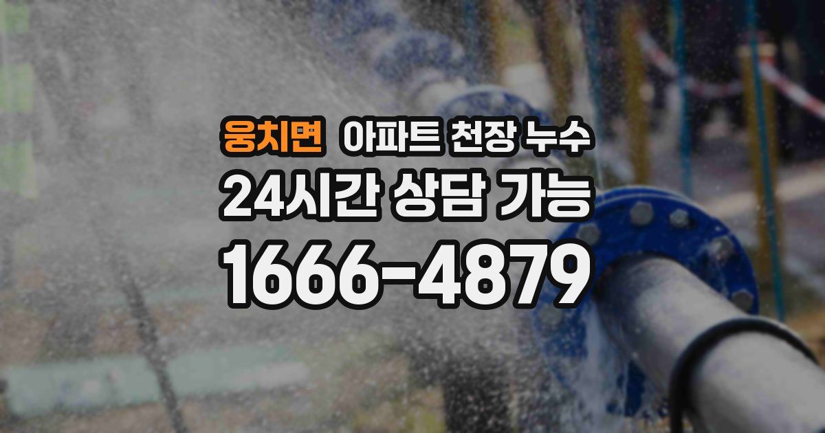 웅치면 아파트 천장 누수