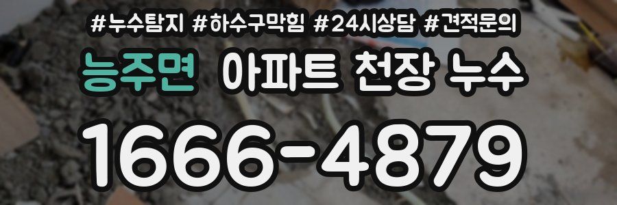 능주면 아파트 천장 누수